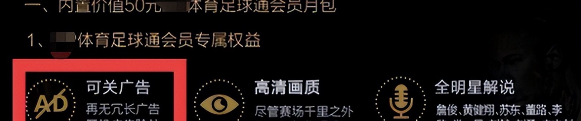 成功案例